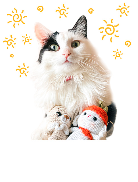 Jouet pour chat